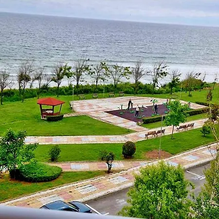 амон ра プリモルスコ